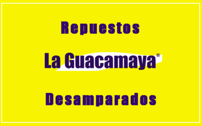 Repuestos La Guacamaya-Desamparados