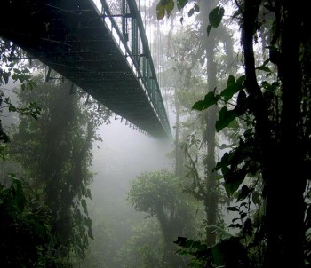 Bosque-Nuboso de Costa Rica