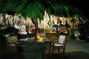 Amimodo - Puerto Viejo