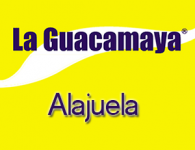 Guacamaya en Alajuela