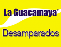 Guacamaya en Desamparados