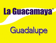Guacamaya en Guadalupe