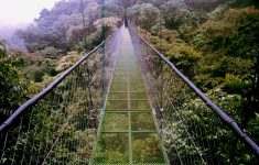 Picture of Monteverde bridge