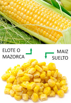 Comida Costarricense | Diferencia entre el elote la mazorca y el maiz