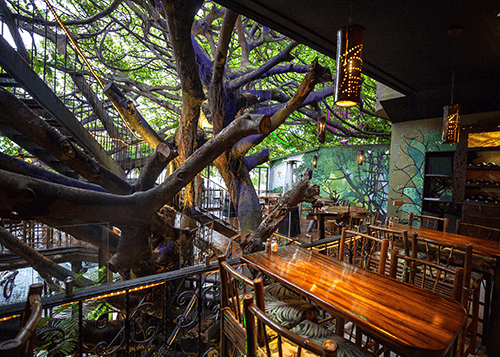 Picture of the Tree House Restaurant in Monteverde