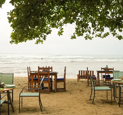 Beachfront Restaurant in Puerto Viejo