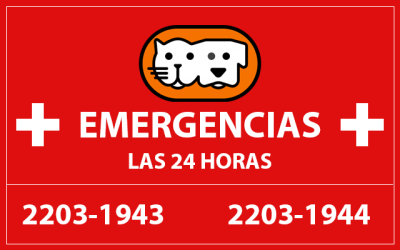 Veterinaria 24/7 Santa Ana
