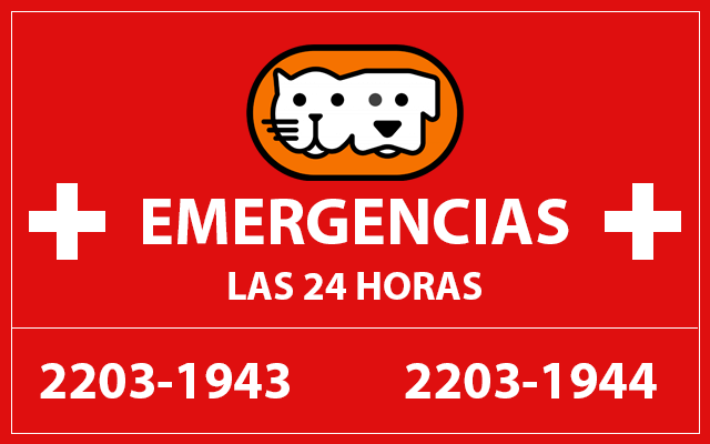 Veterinaria 24 hrs Santa Ana