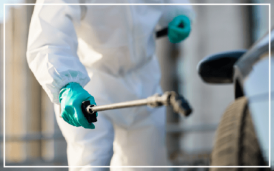 Fumigadora Control de Plagas