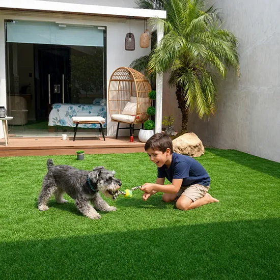 Zacate artificial apto para perros