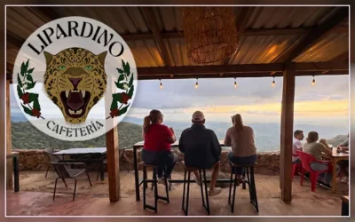 Lipardino Pizza