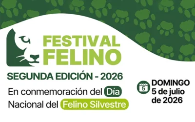 Felinos en Libertad Piedades Sur