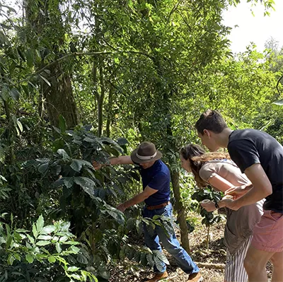 Coffee farm walk, San Ramón