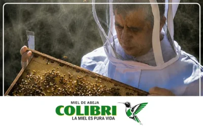 Tour de Abejas en San Ramón