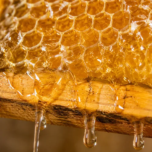 Extratracción de miel de abeja