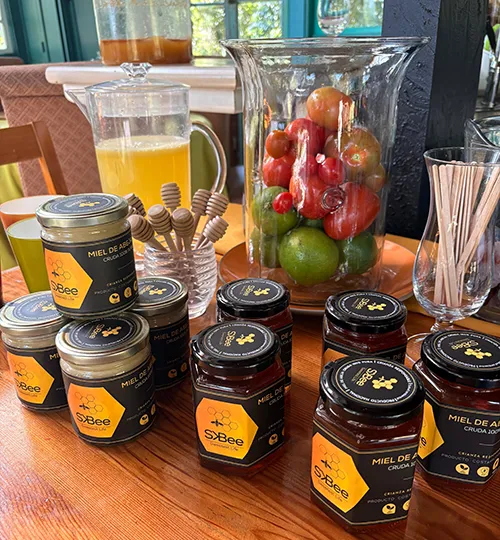 Buy Quality Pure Honey Bee in San José