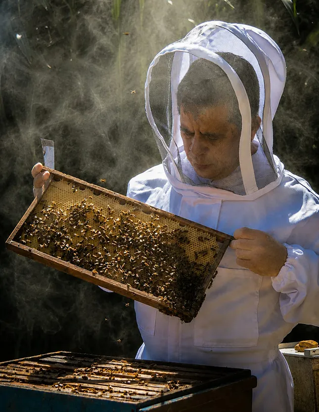 Bee Tour Costa Rica